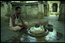 India, Madhya Pradesh, General, Man at noon puja adorning Shiva lingam with offerings of lotus flower blossoms  leaves and holy water.