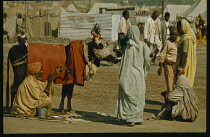 India, Uttar Pradesh, Allahabad, Pilgrims and sacred cow at Kumbh Mela Hindu festival.