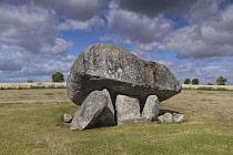 Ireland, County Carlow, Browneshill Dolmen which is a megalithic portal tomb with a capstone estimated at weighing 150 metric tons and dating from 4000 to 3000 BC.