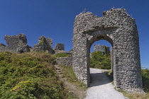 Ireland, County Laois, Rock of Dunamase,  Ruin of the Barbican entrance gate.