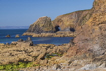 Ireland, County Waterford, Kilfarrasy Beach.