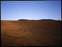 AGRICULTURE, Arable, Ploughing, Tractor drawn harrow patterns in a ploughed field with copse on overlooking hill in Nottinghamshire.