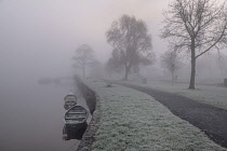 Ireland, County Sligo, Sligo, boats on a misty winter morning at Doorly Park.