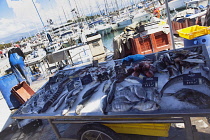 France, Provence-Alps, Cote d'Azur, Antibes, Fresh caught fish being sold in the marina.