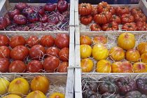 France, Provence-Alps, Cote d'Azur, Antibes, Provencal food market display of ripe heritage tomatoes.
