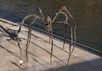 Spain, Basque Country, Bilbao, Guggenheim Museum area, Maman is a bronze, stainless steel, and marble sculpture of a spider by the artist Louise Bourgeois in praise of her mother..