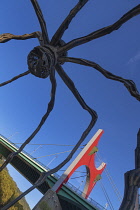 Spain, Basque Country, Bilbao, Guggenheim Museum area, Puente de la Salve seen through the legs of Maman which is a bronze, stainless steel, and marble sculpture of a spider by the artist Louise Bourg...