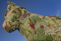 Spain, Basque Country, Bilbao, Guggenheim Museum area, Close up of Puppy which is a 12.4 metre tall flower covered sculpture of a west highland terrier by American artist Jeff Koons.