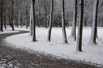 Germany, Bavaria,  Munich, Schleissheim Palace Park, snowy Sunday morning with path through snow spattered trees in the park.