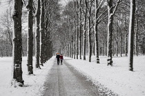 Germany, Bavaria,  Munich, Schleissheim Palace Park, couple strolling on a snowy Sunday morning with snow spattered trees in the park.