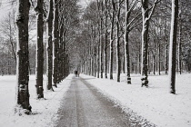 Germany, Bavaria,  Munich, Schleissheim Palace Park, couple strolling on a snowy Sunday morning with snow spattered trees in the park.