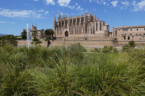 Spain, Balearic Islands, Majorca, Palma de Mallorca, Old Town. La Seu Gothic Roman Catholic Cathedral of Santa Maria with fountain in the foreground.