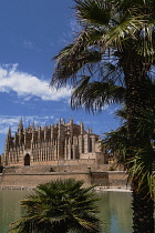 Spain, Balearic Islands, Majorca, Palma de Mallorca, Old Town. La Seu Gothic Roman Catholic Cathedral of Santa Maria.