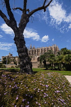 Spain, Balearic Islands, Majorca, Palma de Mallorca, Old Town. La Seu Gothic Roman Catholic Cathedral of Santa Maria.