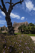 Spain, Balearic Islands, Majorca, Palma de Mallorca, Old Town. La Seu Gothic Roman Catholic Cathedral of Santa Maria.