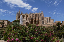 Spain, Balearic Islands, Majorca, Palma de Mallorca, Old Town. La Seu Gothic Roman Catholic Cathedral of Santa Maria with fountain in the foreground.