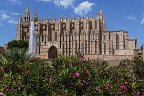 Spain, Balearic Islands, Majorca, Palma de Mallorca, Old Town. La Seu Gothic Roman Catholic Cathedral of Santa Maria with fountain in the foreground.