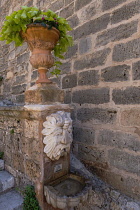 Spain, Balearic Islands, Majorca, Palma de Mallorca, Old Town. Water fountain in the shape of an animal's head.