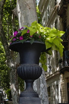 Spain, Balearic Islands, Majorca, Palma de Mallorca, Old Town. Plant Urn in Paseo del Borne or Passeig des Born in Catalan.