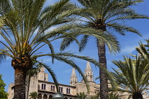 Spain, Balearic Islands, Majorca, Palma de Mallorca, Old Town.Royal Palace of La Almudaina and La Seu Gothic Roman Catholic Cathedral of Santa Maria