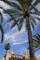 Spain, Balearic Islands, Majorca, Palma de Mallorca, Old Town.Royal Palace of La Almudaina and La Seu Gothic Roman Catholic Cathedral of Santa Maria