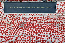 England, London, Westminster, UK, 3rd October 2023. The National Covid Memorial Wall. Public mural on the South Bank of the River Thames, with over 230,00 pink and red hearts.