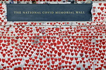 England, London, Westminster, UK, 3rd October 2023. The National Covid Memorial Wall. Public mural on the South Bank of the River Thames, with over 230,00 pink and red hearts.