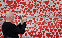 England, London, Westminster, UK, 3rd October 2023. The National Covid Memorial Wall. Public mural on the South Bank of the River Thames, with over 230,00 pink and read hearts.