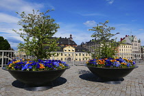 Sweden, Stockholm, Flower display on the island of Riddarholmen looking towards The Old Town.