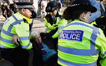 England, London, Whitehall, Just Stop Oil march and rally, protesters we arrested for stopping the traffic outside Downing Street, 23rd November 2023.