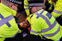 England, London, Whitehall, Just Stop Oil march and rally, protesters we arrested for stopping the traffic outside Downing Street, 23rd November 2023.