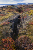 Iceland, Golden Circle, Thingvellir National Park in Autumn colours. The Mid-Atlantic Rift between the North American and Eurasian tectonic plates. Fissures in the landscape