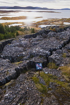 Iceland, Golden Circle, Thingvellir National Park in Autumn colours. The Mid-Atlantic Rift between the North American and Eurasian tectonic plates.Lake Thingvallavtr, the largest lake in Iceland sitti...