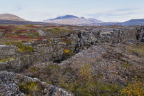 Iceland, Golden Circle, Thingvellir National Park in Autumn colours. The Mid-Atlantic Rift between the North American and Eurasian tectonic plates. Fissures in the landscape.