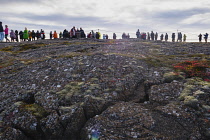 Iceland, Golden Circle, Thingvellir National Park in Autumn colours. The Mid-Atlantic Rift between the North American and Eurasian tectonic plates. Figures in the landscape withsightseeing tourists.