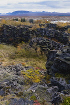 Iceland, Golden Circle, Thingvellir National Park in Autumn colours. The Mid-Atlantic Rift between the North American and Eurasian tectonic plates. Fissures in the landscape with the Rift Valley beyon...