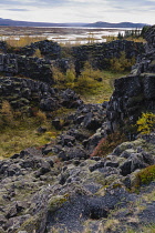 Iceland, Golden Circle, Thingvellir National Park in Autumn colours. The Mid-Atlantic Rift between the North American and Eurasian tectonic plates. Fissures in the landscape with Lake Thingvallavtn in...