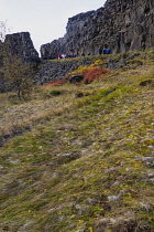 Iceland, Golden Circle, Thingvellir National Park in Autumn colours. The Mid-Atlantic Rift between the North American and Eurasian tectonic plates. Almannagja Gorge marking the edge of the North Ameri...