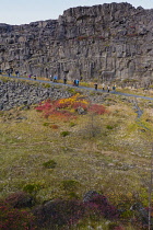 Iceland, Golden Circle, Thingvellir National Park in Autumn colours. The Mid-Atlantic Rift between the North American and Eurasian tectonic plates. Almannagja Gorge marking the edge of the North Ameri...
