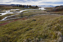 Iceland, Golden Circle, Thingvellir National Park in Autumn colours. The Mid-Atlantic Rift between the North American and Eurasian tectonic plates. The site of the first Icelandic Parliament with Lake...