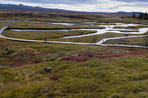 Iceland, Golden Circle, Thingvellir National Park in Autumn colours. The Mid-Atlantic Rift between the North American and Eurasian tectonic plates. The site of the first Icelandic Parliament with Lake...