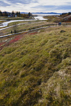 Iceland, Golden Circle, Thingvellir National Park in Autumn colours. The Mid-Atlantic Rift between the North American and Eurasian tectonic plates. Almannagja Gorge marking the edge of the North Ameri...