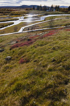 Iceland, Golden Circle, Thingvellir National Park in Autumn colours. The Mid-Atlantic Rift between the North American and Eurasian tectonic plates. Site of the first Icelandic Parliament in the Rift V...