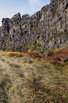 Iceland, Golden Circle, Thingvellir National Park in Autumn colours. The Mid-Atlantic Rift between the North American and Eurasian tectonic plates. Almannagja Gorge marking the edge of the North Ameri...