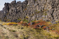 Iceland, Golden Circle, Thingvellir National Park in Autumn colours. The Mid-Atlantic Rift between the North American and Eurasian tectonic plates. Almannagja Gorge marking the edge of the North Ameri...