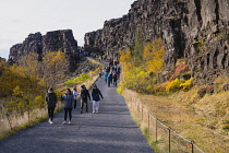 Iceland, Golden Circle, Thingvellir National Park in Autumn colours. The Mid-Atlantic Rift between the North American and Eurasian tectonic plates. Almannagja Gorge marking the edge of the North Ameri...