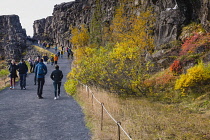 Iceland, Golden Circle, Thingvellir National Park in Autumn colours. The Mid-Atlantic Rift between the North American and Eurasian tectonic plates. Almannagja Gorge marking the edge of the North Ameri...