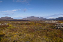 Iceland, Golden Circle, Thingvellir National Park in Autumn colours. The Mid-Atlantic Rift between the North American and Eurasian tectonic plates.