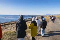 Iceland, Snaefellsnes Peninsula National Park, Ytri Tunga seal beach with sightseeing tourists.