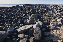 Iceland, Snaefellsnes Peninsula National Park, Ytri Tunga seal beach with sightseeing tourists.